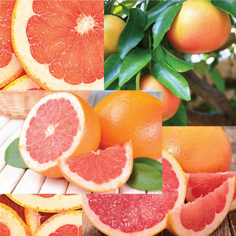 Edge Air+Essential Oil Pod.