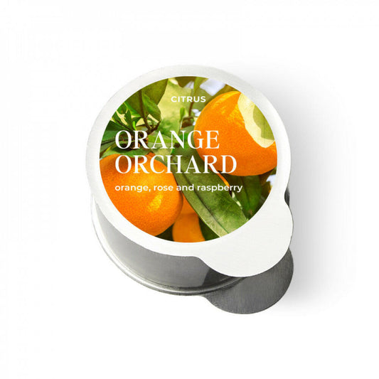 Orange Orchard.